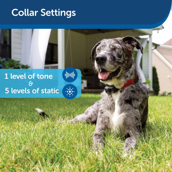 PetSafe Wireless Pet Containment System Receiver Collar Only for Dogs and Cats over 5 lb., Waterproof with Tone and Static Correction - From The Parent Company of INVISIBLE FENCE Brand Online now - Image 3