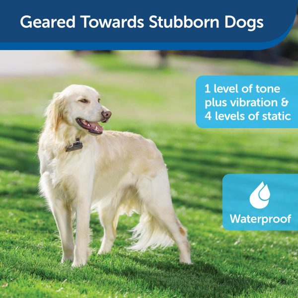 PetSafe Stubborn Dog Receiver Collar Only - In-Ground Fence Collar, Waterproof, with Tone, Vibration and Static Correction for Dogs 8lb and Up - From The Parent Company of INVISIBLE FENCE Brand Discount - Image 4