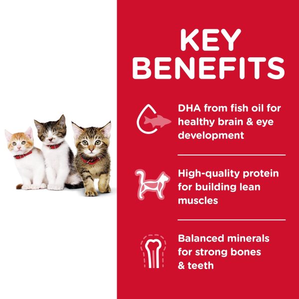 Hill s Science Diet Kitten Dry Cat Food, Chicken Recipe Fashion - Image 3