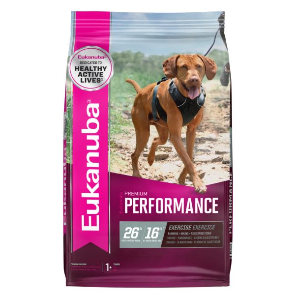 Eukanuba Premium Performance 26 16 Exercise Dry Dog Food Online