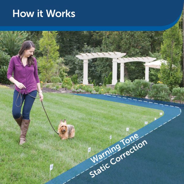 PetSafe Stubborn Dog Receiver Collar Only - In-Ground Fence Collar, Waterproof, with Tone, Vibration and Static Correction for Dogs 8lb and Up - From The Parent Company of INVISIBLE FENCE Brand Discount - Image 3