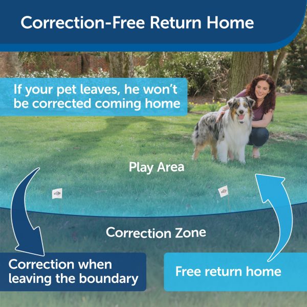 PetSafe Wireless Pet Containment System Receiver Collar Only for Dogs and Cats over 5 lb., Waterproof with Tone and Static Correction - From The Parent Company of INVISIBLE FENCE Brand Online now - Image 4