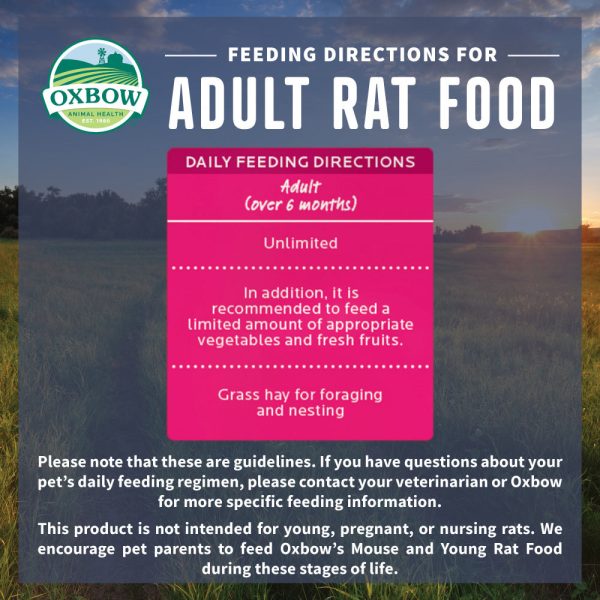 Oxbow Animal Health Essentials Adult Rat Food All Natural Adult Rat Food For Sale - Image 4