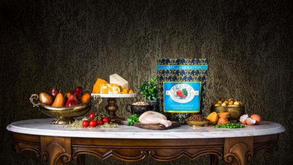 Fromm Four Star Grain Free Chicken au Frommage Dry Cat Food Online - Image 2